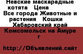Невские маскарадные котята › Цена ­ 15 000 - Все города Животные и растения » Кошки   . Хабаровский край,Комсомольск-на-Амуре г.